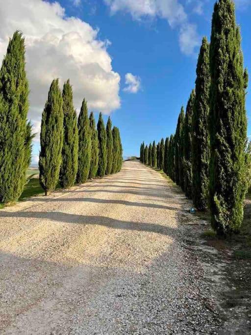 Toscana Amore Mio, Stunning View & 14Min Volterra Монтекатини-Валь-ди-Чечина Экстерьер фото